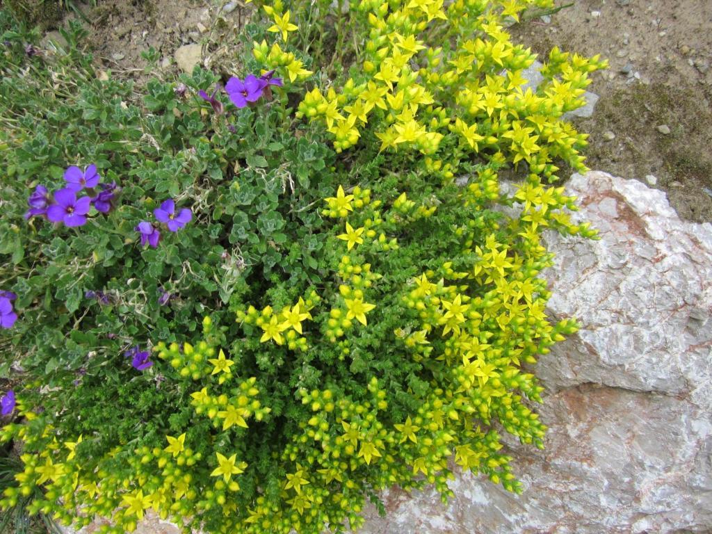 דירות Weisspriach Binderhof מראה חיצוני תמונה